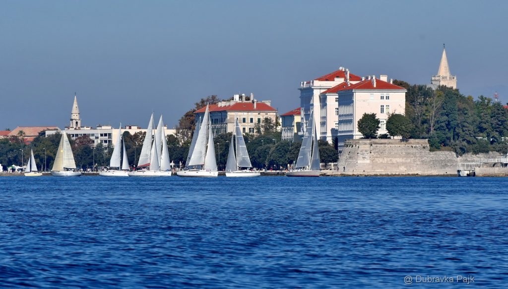 DSC_2233 (2) – Copy